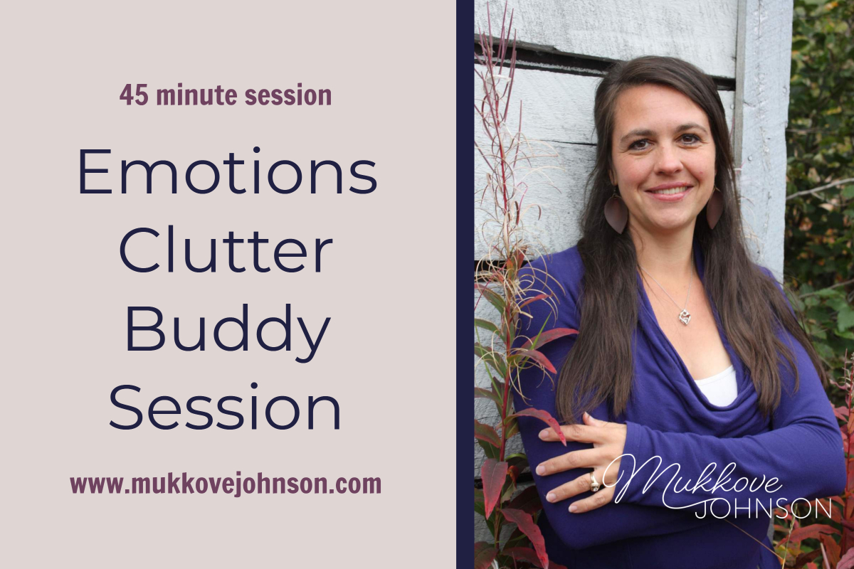 Emotions Clutter Buddy Session